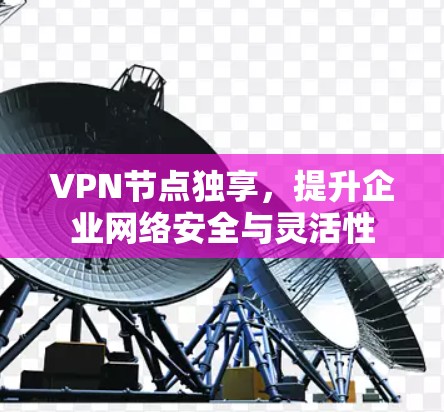 VPN节点独享，提升企业网络安全与灵活性