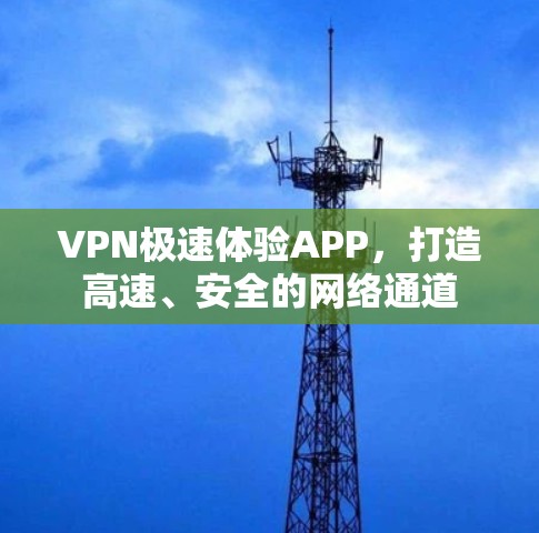 VPN极速体验APP,打造高速、安全的网络通道 VPN极速体验APP,打造高速、安全的网络通道