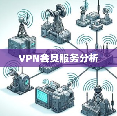 VPN会员服务分析