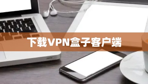 下载VPN盒子客户端