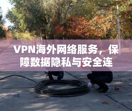 VPN海外网络服务,保障数据隐私与安全连接