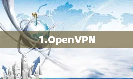 1.OpenVPN 1.OpenVPN