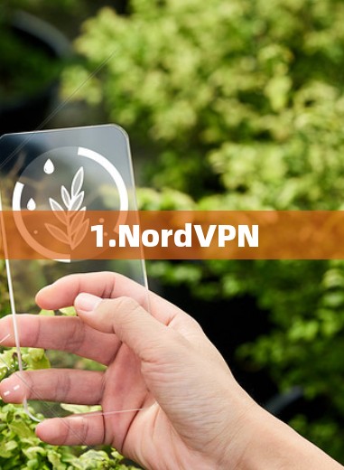 1.NordVPN 1.NordVPN