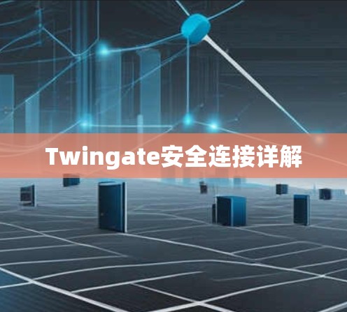 Twingate安全连接详解 Twingate安全连接详解