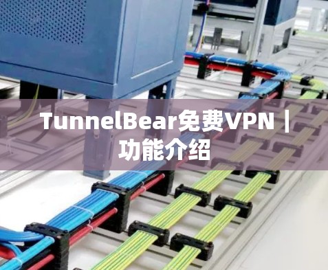 TunnelBear免费VPN|功能介绍 TunnelBear免费VPN|功能介绍