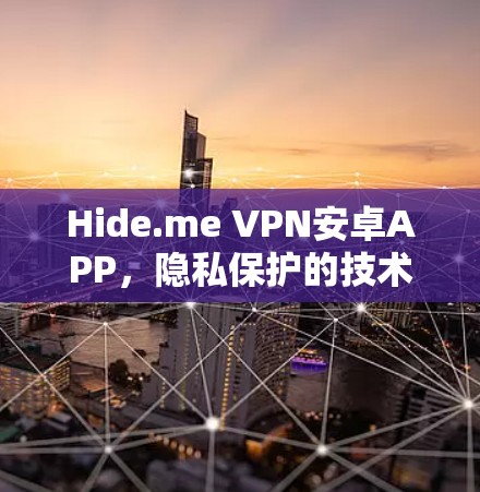 Hide.me VPN安卓APP，隐私保护的技术与应用分析
