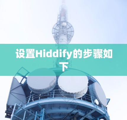 设置Hiddify的步骤如下 设置Hiddify的步骤如下