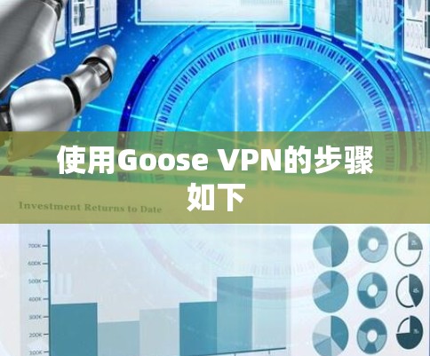 使用Goose VPN的步骤如下