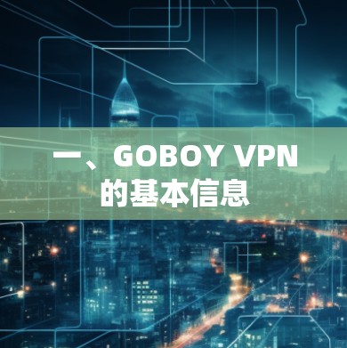一、GOBOY VPN的基本信息