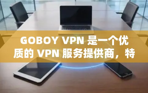 GOBOY VPN 是一个优质的 VPN 服务提供商,特别适合需要频繁访问机场节点或寻求高速服务器的用户。以下是它的详细介绍 GOBOY VPN 是一个优质的 VPN 服务提供商,特别适合需要频繁访问机场节点或寻求高速服务器的用户。以下是它的详细介绍