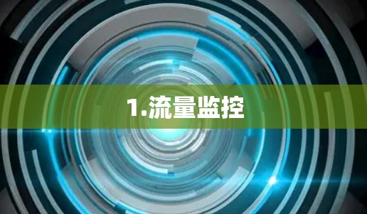 1.流量监控 1.流量监控
