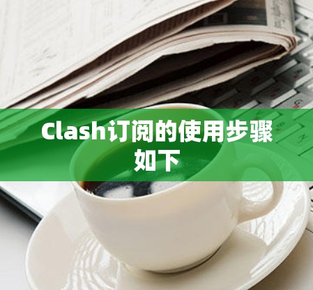 Clash订阅的使用步骤如下 Clash订阅的使用步骤如下