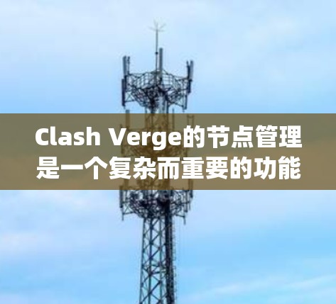 Clash Verge的节点管理是一个复杂而重要的功能,涵盖多个方面,包括监控、网络状态、资源管理、应用状态、自愈能力、安全性、配置管理、故障处理、性能优化和界面设计。以下是对节点管理的详细总结 Clash Verge的节点管理是一个复杂而重要的功能,涵盖多个方面,包括监控、网络状态、资源管理、应用状态、自愈能力、安全性、配置管理、故障处理、性能优化和界面设计。以下是对节点管理的详细总结