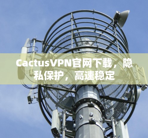 CactusVPN官网下载，隐私保护，高速稳定