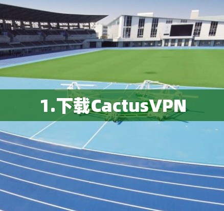 1.下载CactusVPN 1.下载CactusVPN