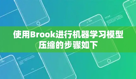 使用Brook进行机器学习模型压缩的步骤如下