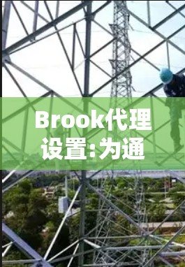 Brook代理设置:为通信网络优化配置管理 Brook代理设置:为通信网络优化配置管理