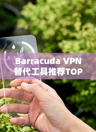 Barracuda VPN替代工具推荐TOP5 Barracuda VPN替代工具推荐TOP5