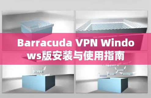 Barracuda VPN Windows版安装与使用指南 Barracuda VPN Windows版安装与使用指南