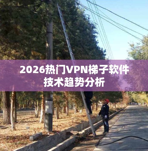 2026热门VPN梯子软件技术趋势分析 2026热门VPN梯子软件技术趋势分析