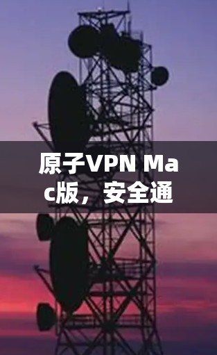 原子VPN Mac版,安全通信的高效解决方案 原子VPN Mac版,安全通信的高效解决方案