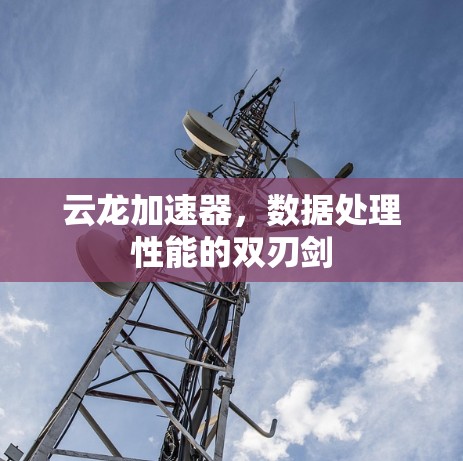 云龙加速器,数据处理性能的双刃剑 云龙加速器,数据处理性能的双刃剑