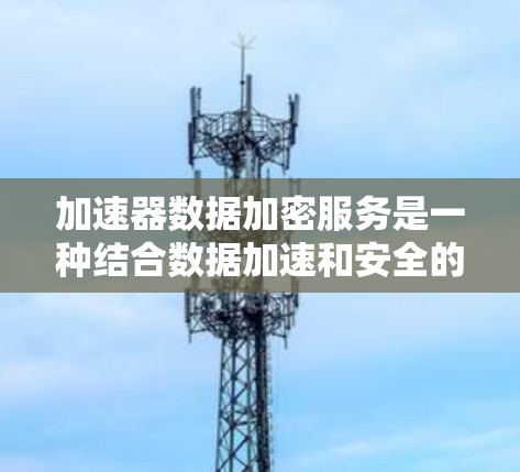 加速器数据加密服务是一种结合数据加速和安全的解决方案，适用于需要高性能和高安全性的数据处理场景。以下是对加速器数据加密服务的详细分析和总结